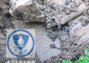 临安区水管漏水检测公司5